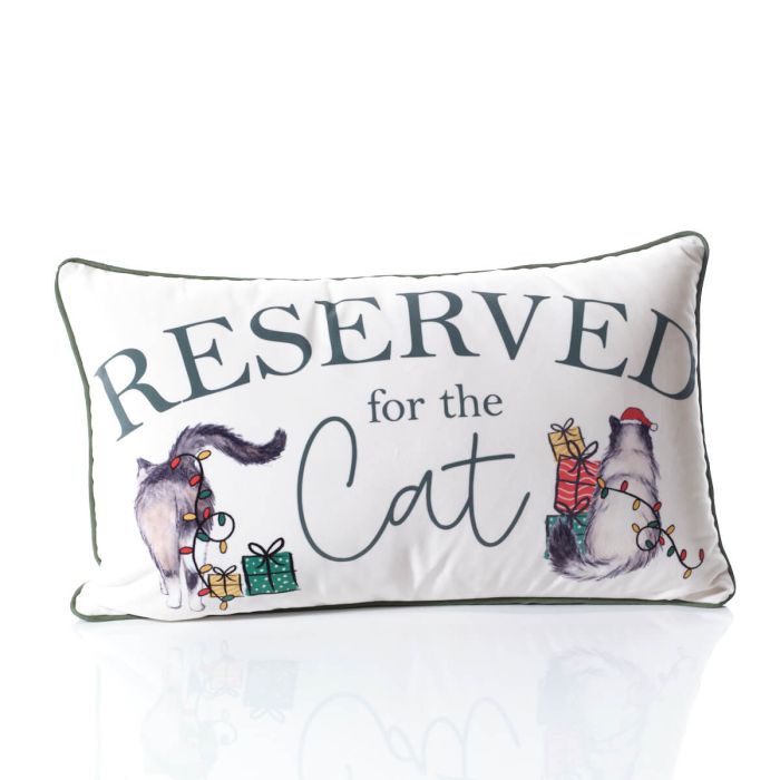 Reserved for the Cat Velour Cushion with Zip