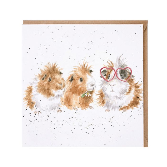 The Trendsetter Guinea Pig Card