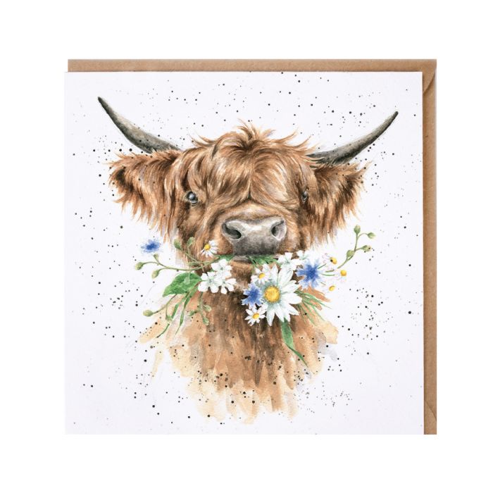 Daisy Coo Highland Cow Card
