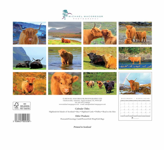 Highland Cattle 2026 Calendar
