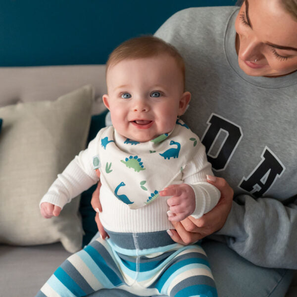Dino Dribble Bib