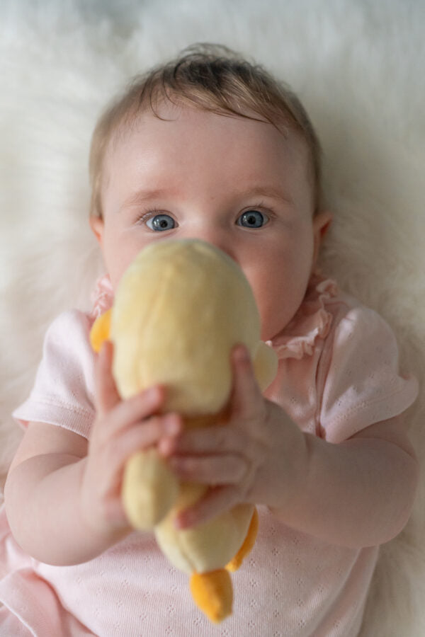 Plush Duck Rattle
