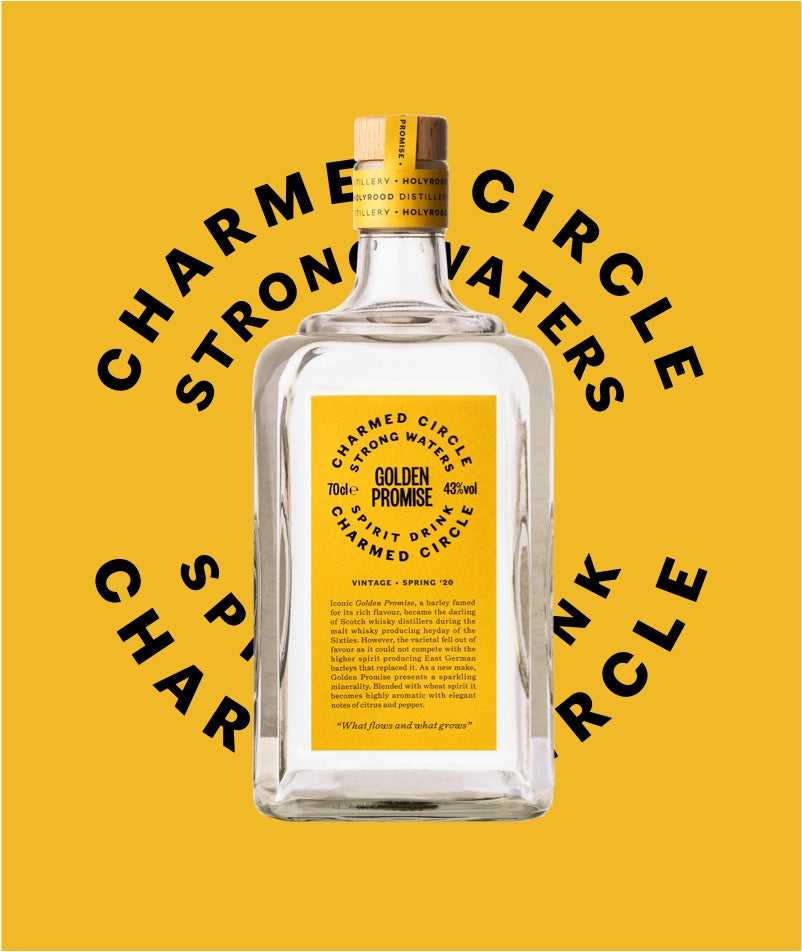 Charmed Circle Golden Promise