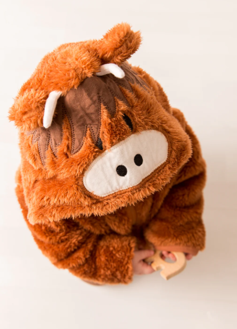 Neutral Highland Cow Hoodie