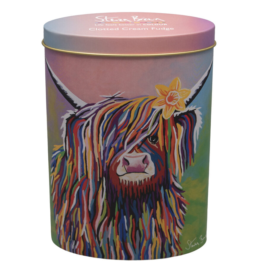 Steven Brown Art Fudge Tins 250g