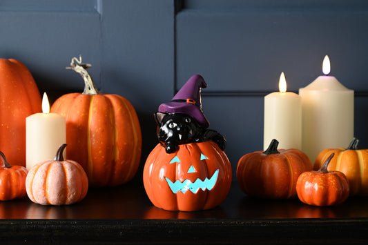 Ceramic Pumpkin & Cat