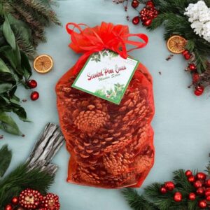 Scented Pine Cones