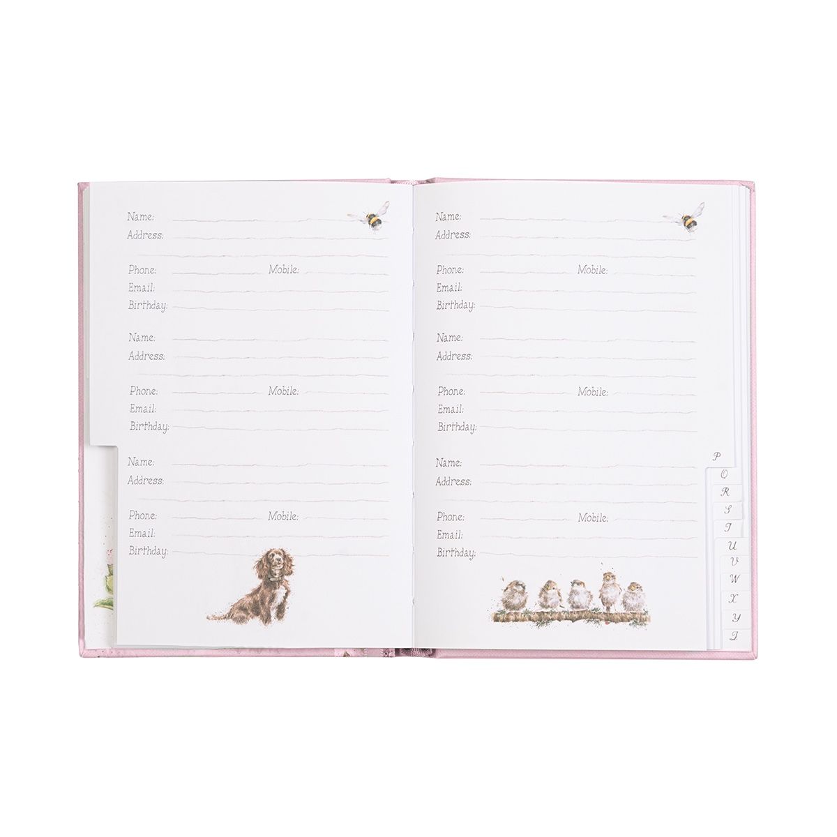 Guinea Pig & Rabbit Address Book