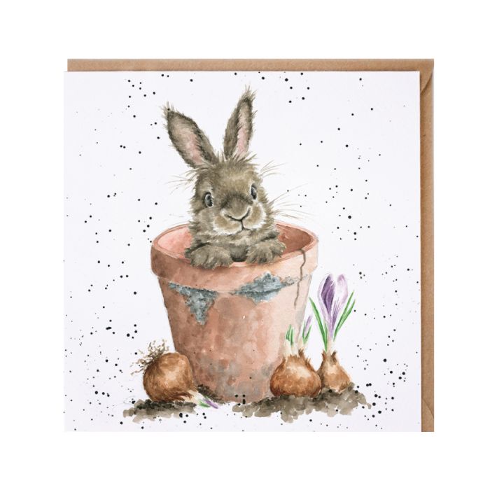 The Flower Pot Rabbit Card