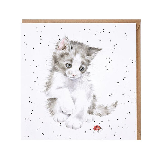 'Ladybird' Cat Card