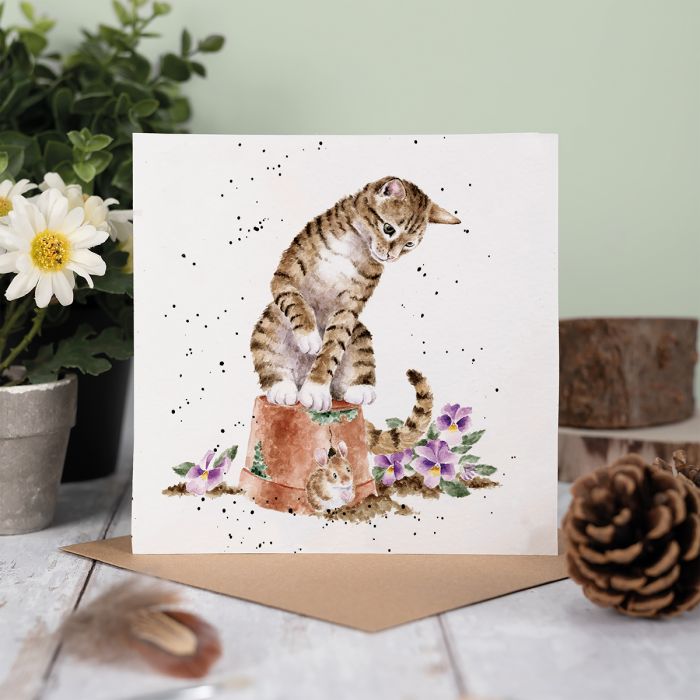 Hide & Squeak Cat Card