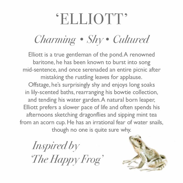 'Elliott' Frog Character