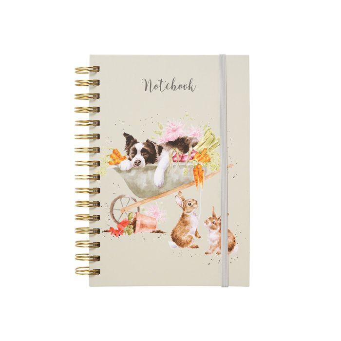 Sleeping On The Job Border Collie & Rabbit A5 Notebook