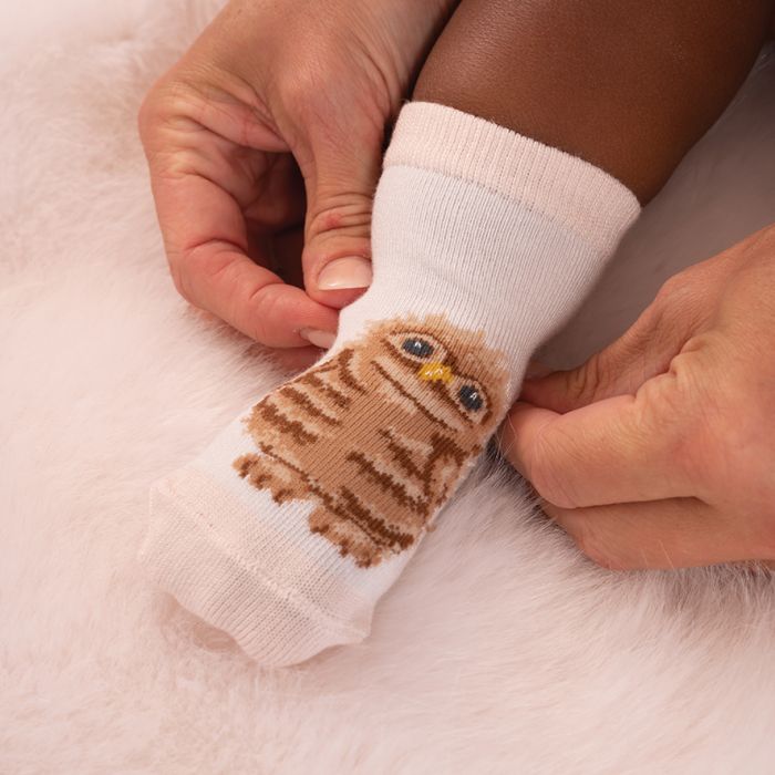 Little Forest Woodland Animal Baby Socks