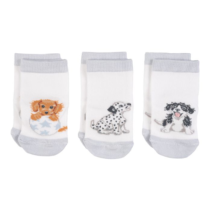 Little Paws Dog Baby Socks