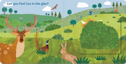 Peekaboo Coo Lift the Flap Board Book