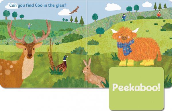 Peekaboo Coo Lift the Flap Board Book