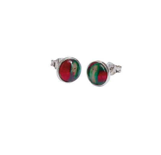 Round Stud Silver Earrings