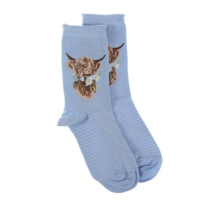 Daisy Coo Highland Cow Socks