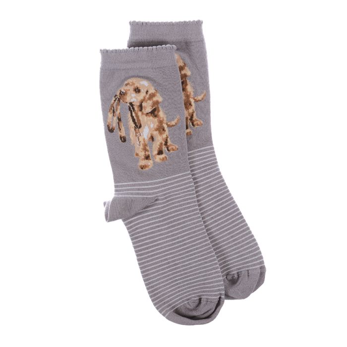 'Hopeful' Labrador Socks
