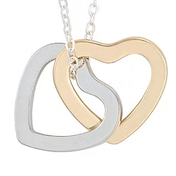 Rhodium & Gold Heart Necklace