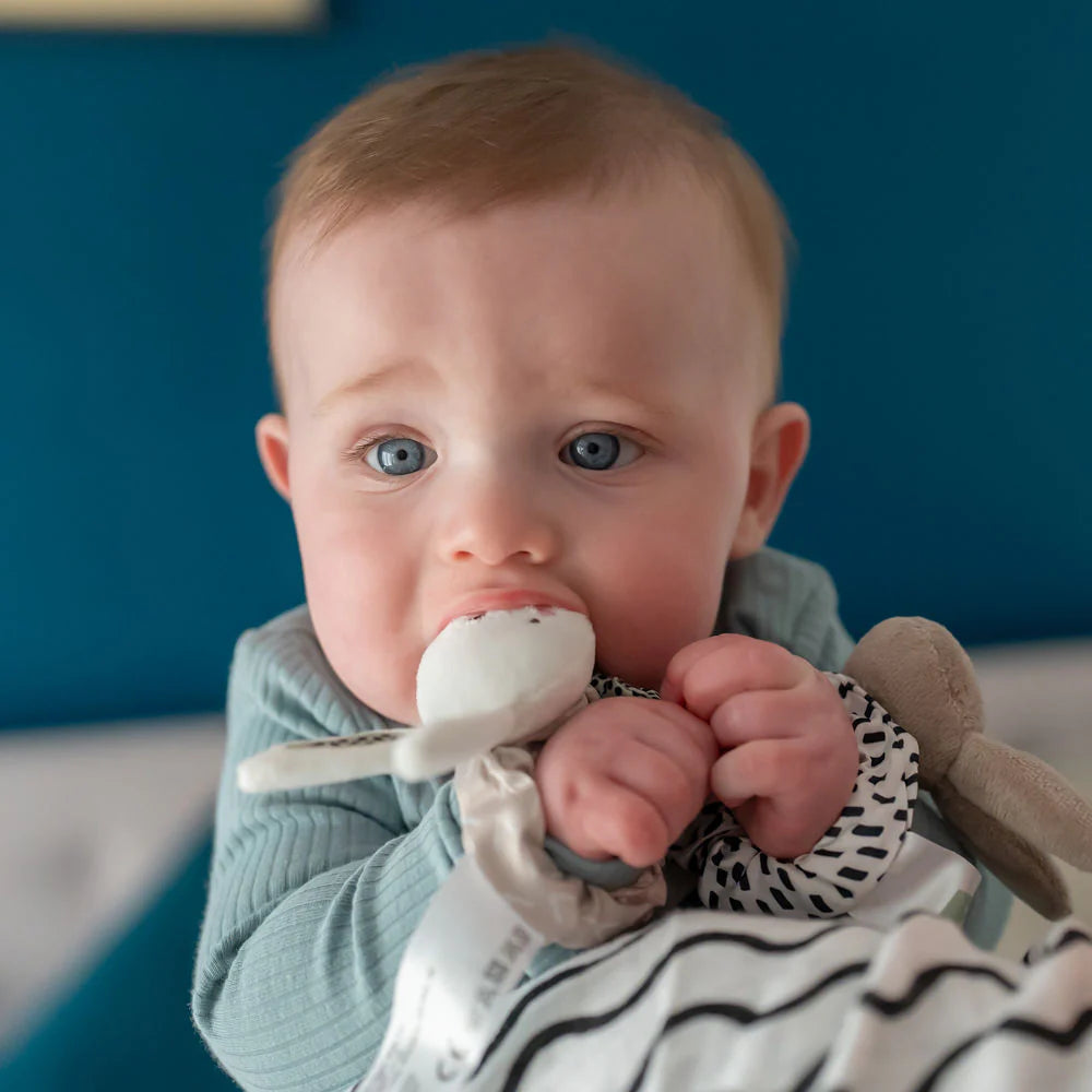Baby holding a plush toy