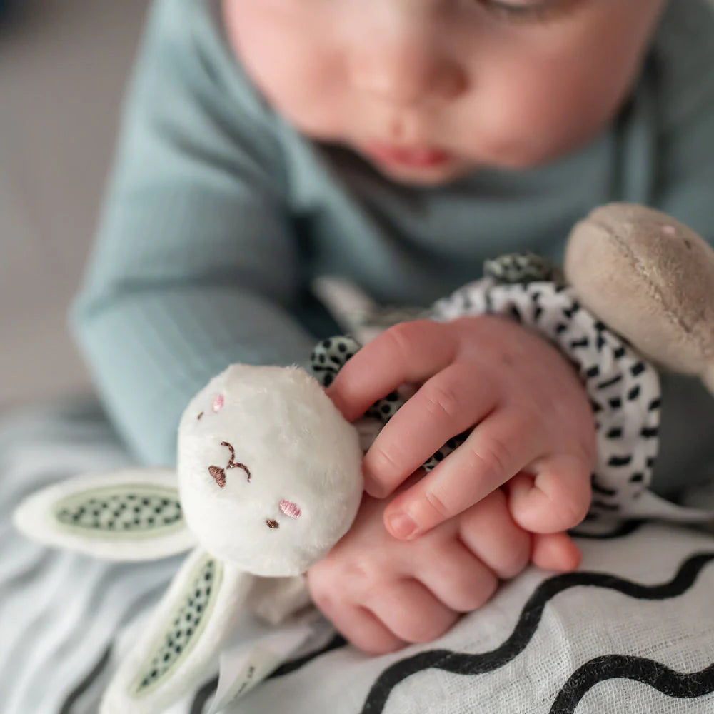 Baby holding a soft toy with a focus on the hand and toy
