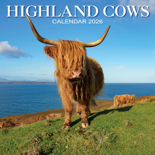 Highland Cows 2026 Calendar