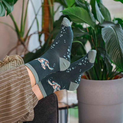 'Swimming School' Turtle Socks