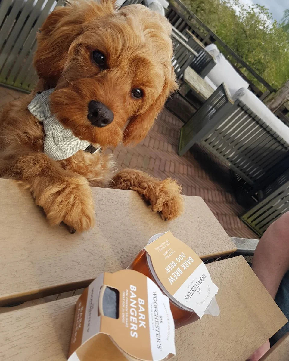 Bark Brew Dog 'Beer'