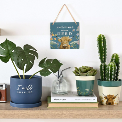 I Will Survive Ceramic Plant Pot