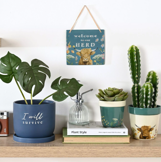 I Will Survive Ceramic Plant Pot