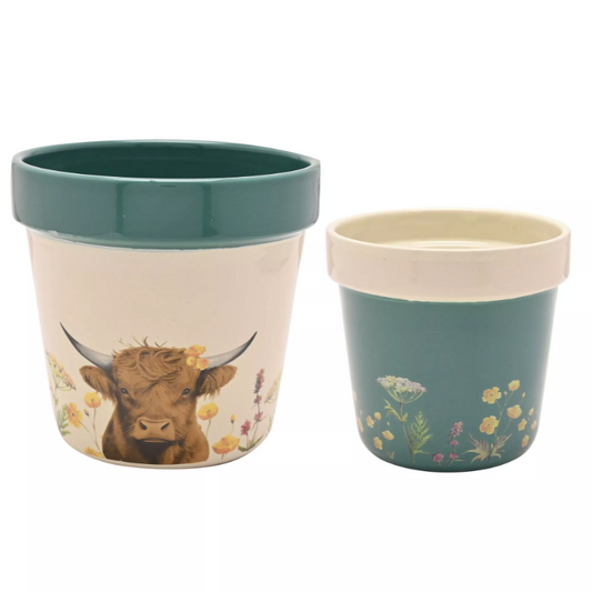 Highland Cow Set of 2 Planters