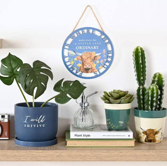 Highland Cow Set of 2 Planters