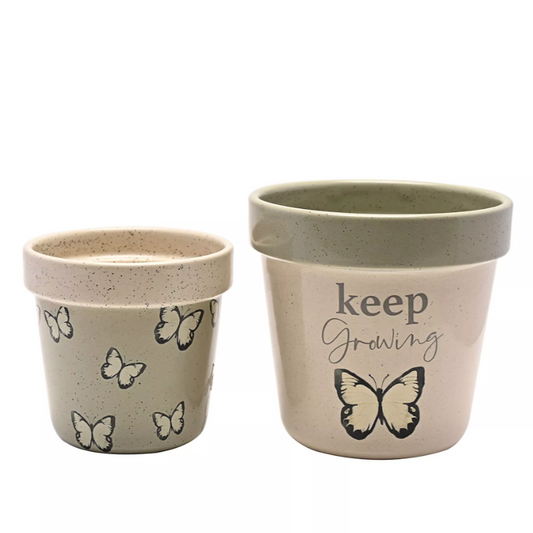 Butterfly Set of 2 Planters