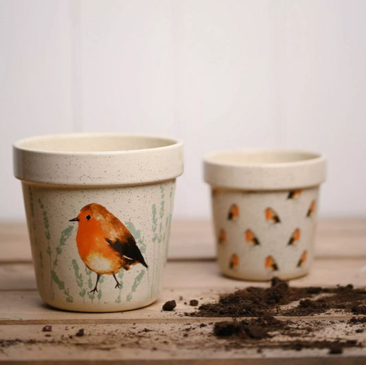 Robin Set of 2 Planters
