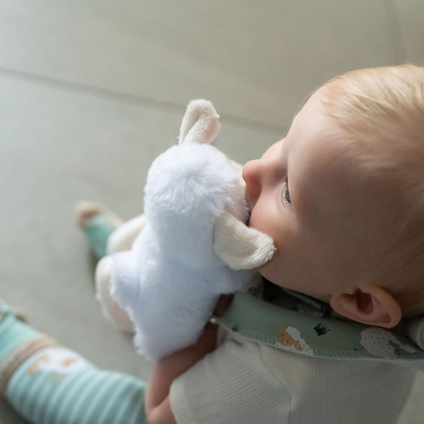 Baby holding a plush toy