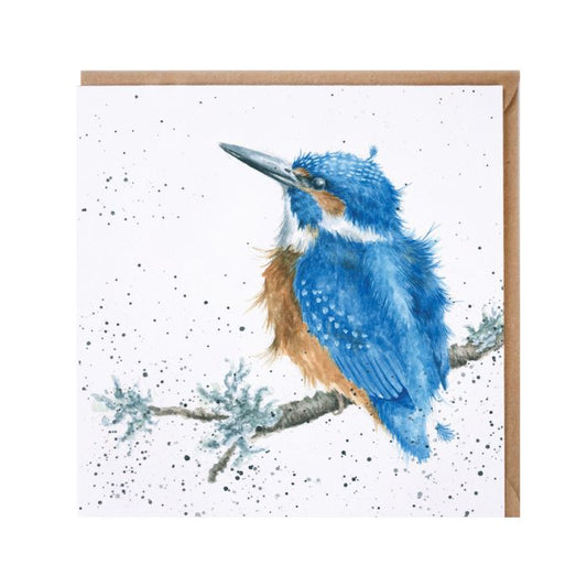 King Of The River Kingfisher Card