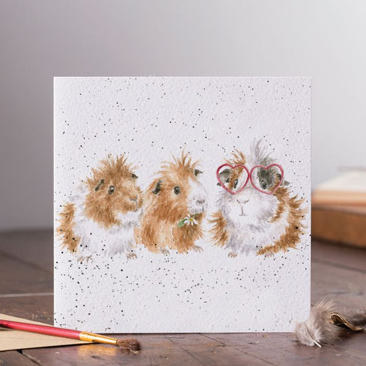 The Trendsetter Guinea Pig Card