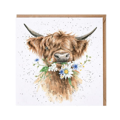 Daisy Coo Highland Cow Card
