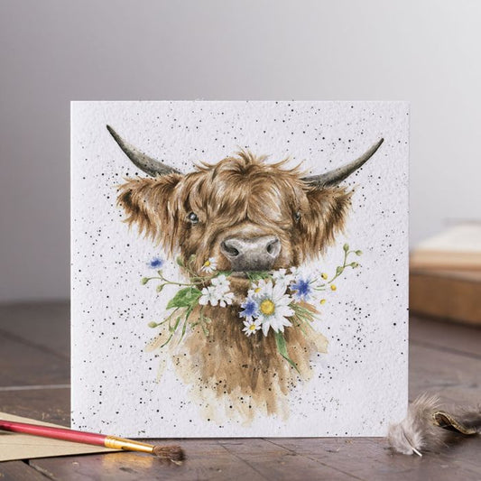 Daisy Coo Highland Cow Card