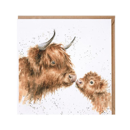 Gentle One Highland Cow Card