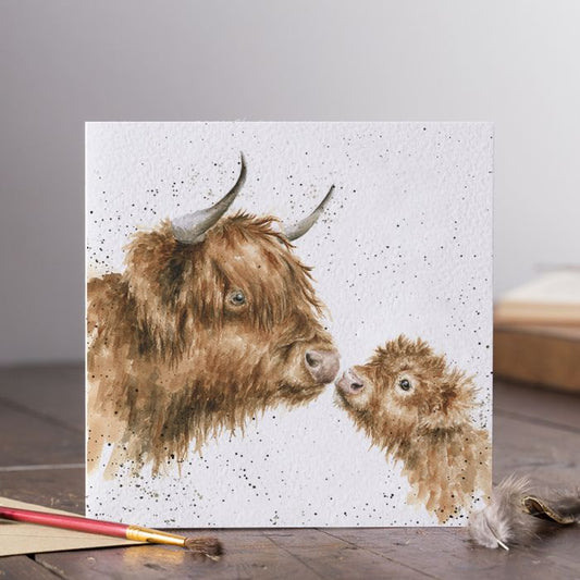 Gentle One Highland Cow Card