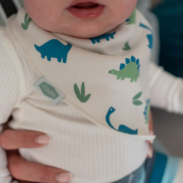 Dino Dribble Bib