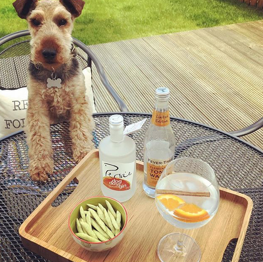 Dog Days Gin