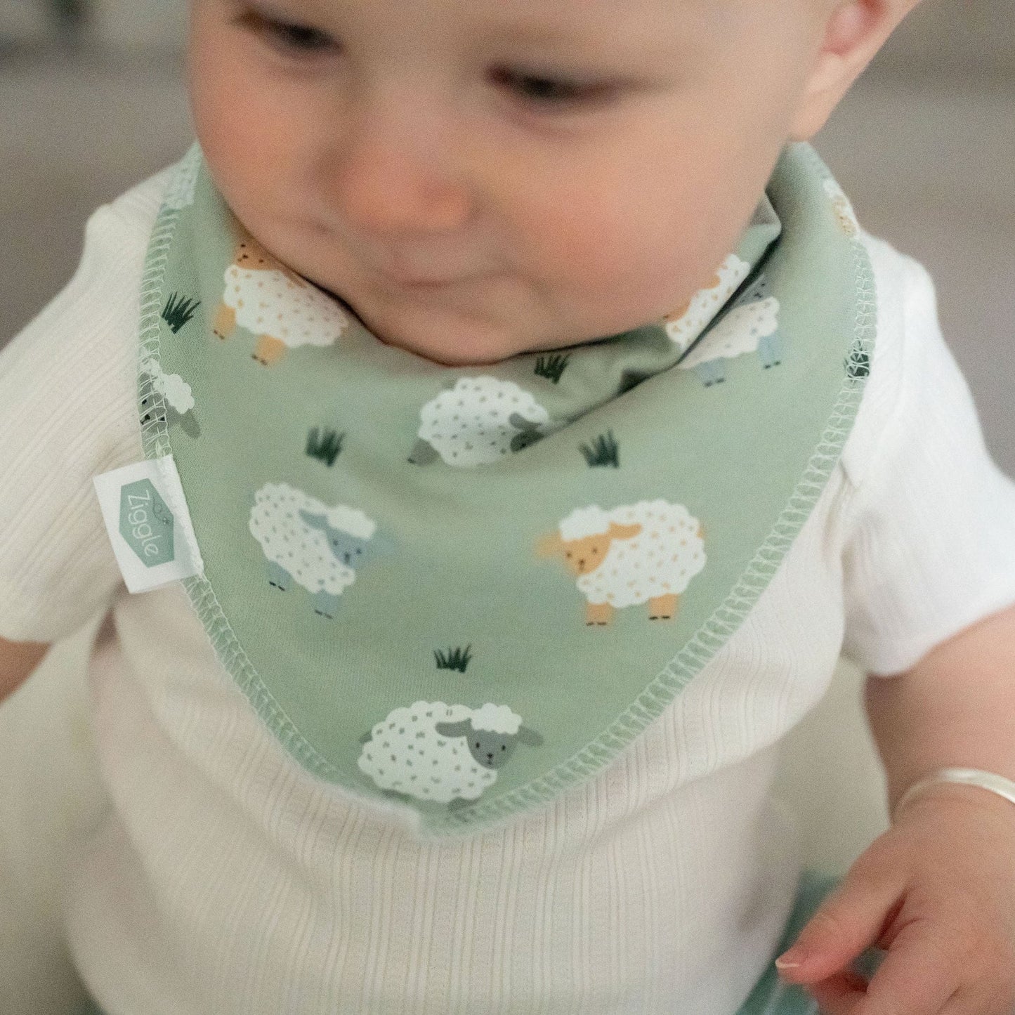 Sheep and Grasses Dribble Bib