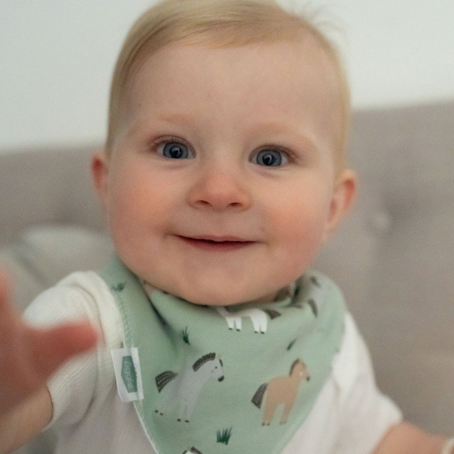 Horses Dribble Bib