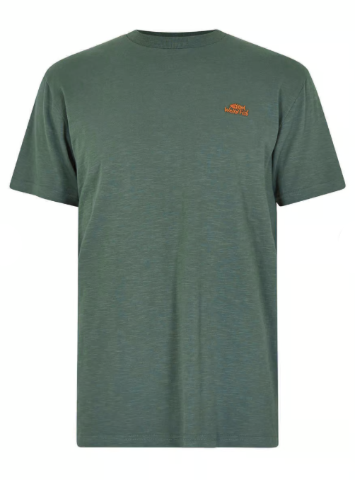 Fished T-shirt - Dusty Green
