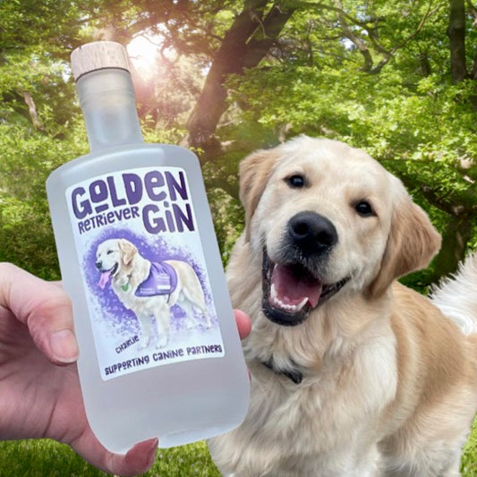 Golden Retriever Gin