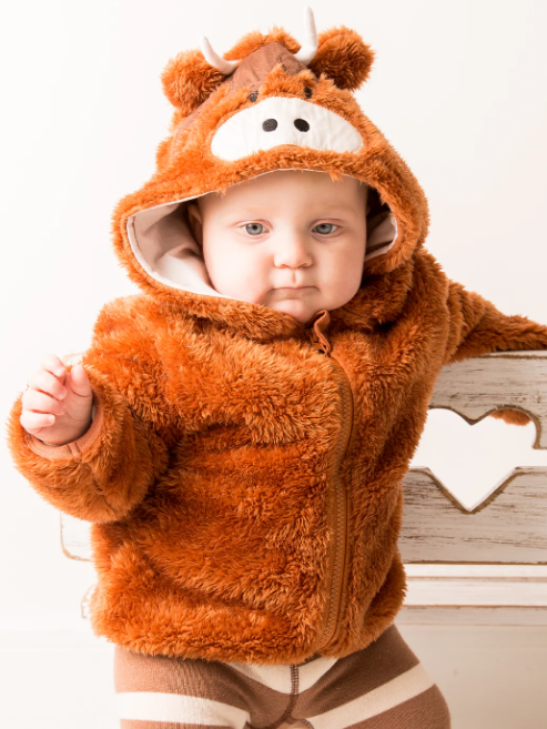 Neutral Highland Cow Hoodie